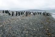 Foto: Tierra del Fuego. Gateway to the Icy Continent